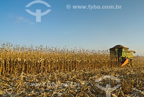  Subject: Corn harvest / Place: Costa Rica city - Mato Grosso do Sul state (MS) - Brazil  / Date: 07/2010 