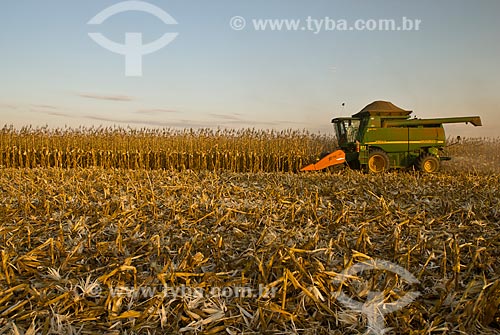  Subject: Corn harvest / Place: Costa Rica city - Mato Grosso do Sul state (MS) - Brazil  / Date: 07/2010 