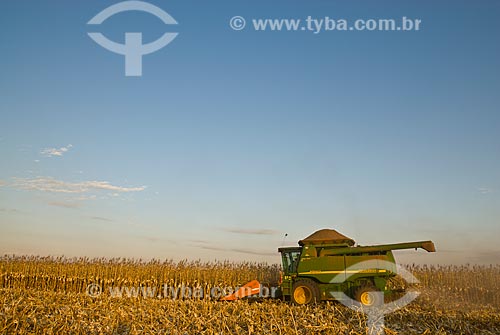  Subject: Corn harvest / Place: Costa Rica city - Mato Grosso do Sul state (MS) - Brazil  / Date: 07/2010 