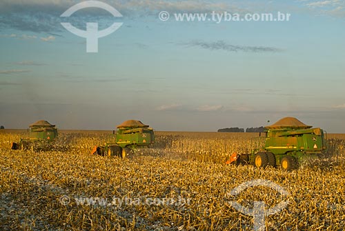  Subject: Corn harvest / Place: Costa Rica city - Mato Grosso do Sul state (MS) - Brazil  / Date: 07/2010 