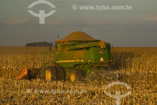  Subject: Corn harvest / Place: Costa Rica city - Mato Grosso do Sul state (MS) - Brazil  / Date: 07/2010 