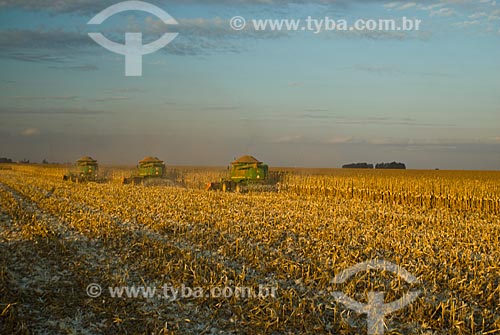  Subject: Corn harvest / Place: Costa Rica city - Mato Grosso do Sul state (MS) - Brazil  / Date: 07/2010 