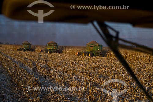  Subject: Corn harvest / Place: Costa Rica city - Mato Grosso do Sul state (MS) - Brazil  / Date: 07/2010 