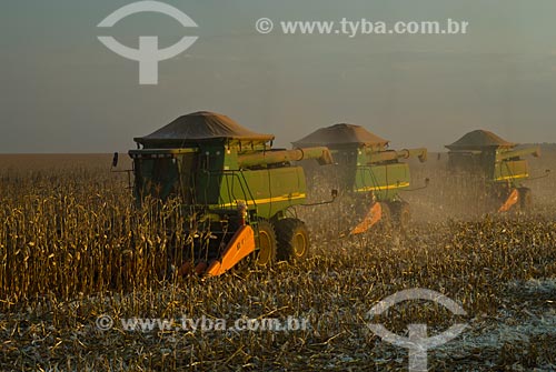  Subject: Corn harvest / Place: Costa Rica city - Mato Grosso do Sul state (MS) - Brazil  / Date: 07/2010 
