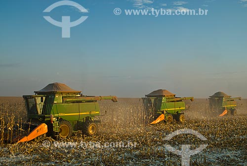  Subject: Corn harvest / Place: Costa Rica city - Mato Grosso do Sul state (MS) - Brazil  / Date: 07/2010 