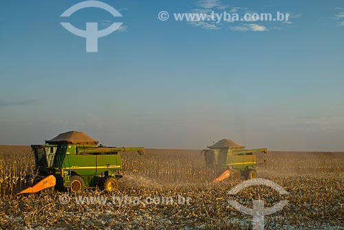  Subject: Corn harvest / Place: Costa Rica city - Mato Grosso do Sul state (MS) - Brazil  / Date: 07/2010 
