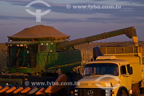  Subject: Unloading corn / Place: Costa Rica city - Mato Grosso do Sul state (MS) - Brazil  / Date: 07/2010 