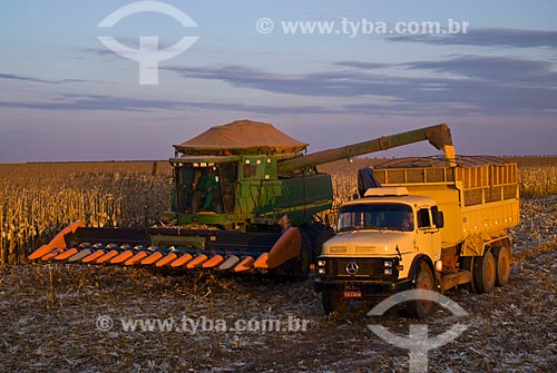  Subject: Unloading corn / Place: Costa Rica city - Mato Grosso do Sul state (MS) - Brazil  / Date: 07/2010 