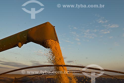  Subject: Unloading corn / Place: Costa Rica city - Mato Grosso do Sul state (MS) - Brazil  / Date: 07/2010 