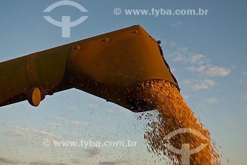  Subject: Unloading of soybeans in Planalto Farm / Place: Costa Rica city - Mato Grosso do Sul state (MS) - Brazil  / Date: 07/2010 