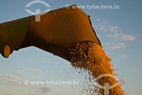  Subject: Unloading of soybeans in Planalto Farm / Place: Costa Rica city - Mato Grosso do Sul state (MS) - Brazil  / Date: 07/2010 