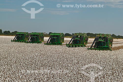  Subject: Cotton harvest in Planalto Farm / Place: Diamantino city  -  Mato Grosso state  ( MT )   -  Brasil / Date: 07/2010 