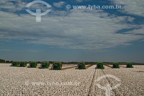  Subject: Cotton harvest in Planalto Farm / Place: Diamantino city  -  Mato Grosso state  ( MT )   -  Brasil / Date: 07/2010 