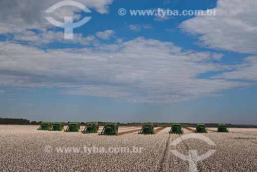  Subject: Cotton harvest in Planalto Farm / Place: Diamantino city  -  Mato Grosso state  ( MT )   -  Brasil / Date: 07/2010 