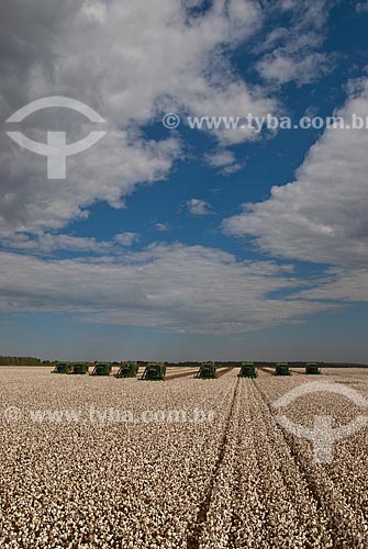  Subject: Cotton harvest in Planalto Farm / Place: Diamantino city  -  Mato Grosso state  ( MT )   -  Brasil / Date: 07/2010 