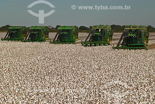  Subject: Cotton harvest in Planalto Farm / Place: Diamantino city  -  Mato Grosso state  ( MT )   -  Brasil / Date: 07/2010 