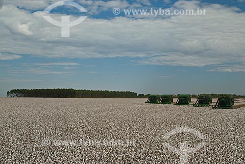 Subject: Cotton harvest in Planalto Farm / Place: Diamantino city  -  Mato Grosso state  ( MT )   -  Brasil / Date: 07/2010 