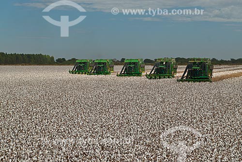  Subject: Cotton harvest in Planalto Farm / Place: Diamantino city  -  Mato Grosso state  ( MT )   -  Brasil / Date: 07/2010 