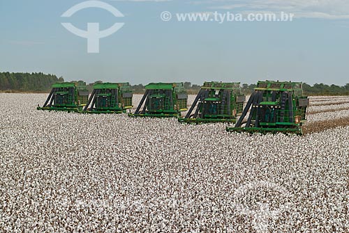  Subject: Cotton harvest in Planalto Farm / Place: Diamantino city  -  Mato Grosso state  ( MT )   -  Brasil / Date: 07/2010 