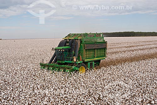  Subject: Cotton harvest in Planalto Farm / Place: Diamantino city  -  Mato Grosso state  ( MT )   -  Brasil / Date: 07/2010 