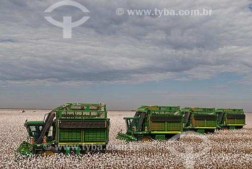  Subject: Cotton harvest in Planalto Farm / Place: Diamantino city  -  Mato Grosso state  ( MT )   -  Brasil / Date: 07/2010 