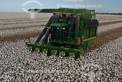  Subject: Cotton harvest in Planalto Farm / Place: Diamantino city  -  Mato Grosso state  ( MT )   -  Brasil / Date: 07/2010 