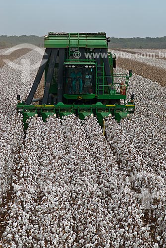  Subject: Cotton harvest in Planalto Farm / Place: Diamantino city  -  Mato Grosso state  ( MT )   -  Brasil / Date: 07/2010 