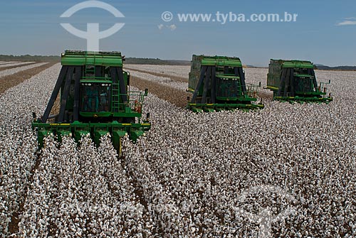  Subject: Cotton harvest in Planalto Farm / Place: Diamantino city  -  Mato Grosso state  ( MT )   -  Brasil / Date: 07/2010 