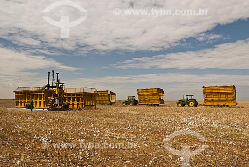  Subject: Cotton harvest in Planalto Farm / Place: Diamantino city  -  Mato Grosso state  ( MT )   -  Brasil / Date: 07/2010 