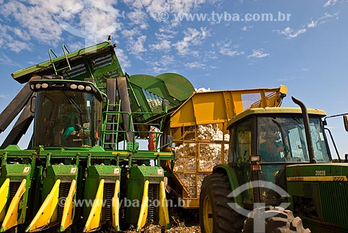  Subject: Cotton harvest in Planalto Farm / Place: Costa Rica city - Mato Grosso do Sul state (MS) - Brazil  / Date: 07/2010 