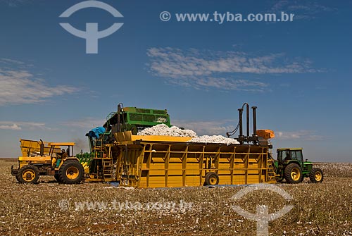  Subject: Cotton harvest in Planalto Farm / Place: Costa Rica city - Mato Grosso do Sul state (MS) - Brazil  / Date: 07/2010 