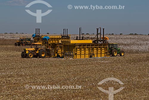  Subject: Cotton harvest in Planalto Farm / Place: Costa Rica city - Mato Grosso do Sul state (MS) - Brazil  / Date: 07/2010 