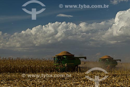  Subject: Corn harvest / Place: Costa Rica city - Mato Grosso do Sul state (MS) - Brazil  / Date: 07/2010 