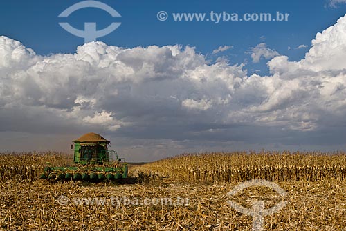  Subject: Corn harvest / Place: Costa Rica city - Mato Grosso do Sul state (MS) - Brazil  / Date: 07/2010 
