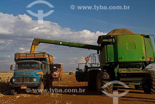  Subject: Unloading corn / Place: Costa Rica city  -  Mato Grosso do Sul state  ( MS )   -  Brazil  / Date: 07/2010 