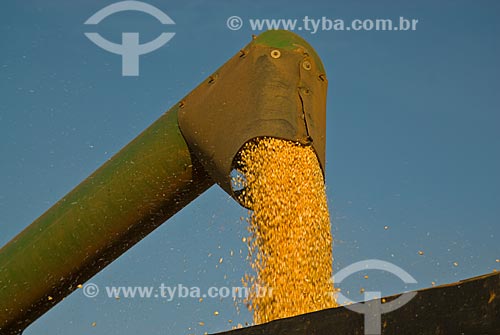  Subject: Unloading corn / Place: Costa Rica city - Mato Grosso do Sul state (MS) - Brazil  / Date: 07/2010 