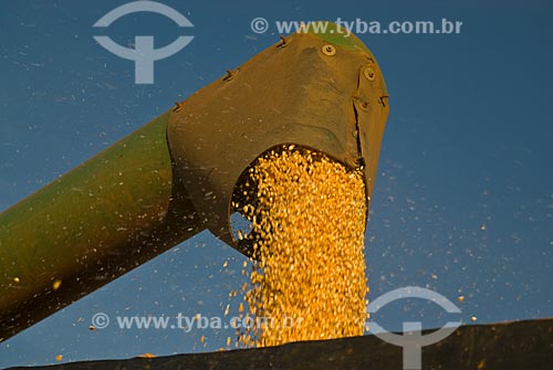  Subject: Unloading corn / Place: Costa Rica city - Mato Grosso do Sul state (MS) - Brazil  / Date: 07/2010 