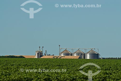  Subject: View of silo and plantation of soybeans / Place: Baus district - Costa Rica city - Mato Grosso do Sul state (MS) - Brazil / Date: 02/2010 