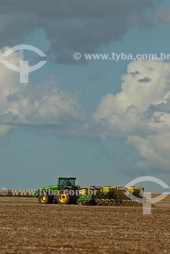  Subject: Plantation of soybeans / Place: Baus district - Costa Rica city - Mato Grosso do Sul state (MS) - Brazil / Date: 02/2010 
