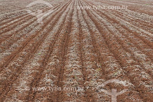  Subject: Land prepared for planting / Place: Baus district - Costa Rica city - Mato Grosso do Sul state (MS) - Brazil / Date: 02/2010 