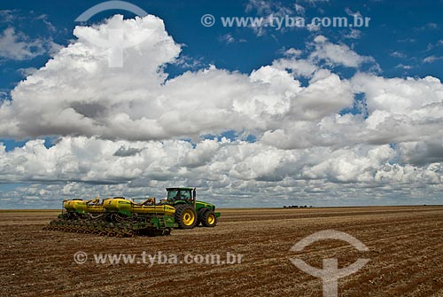  Subject: Planting of cotton / Place: Baus district - Costa Rica city - Mato Grosso do Sul state (MS) - Brazil / Date: 02/2010 