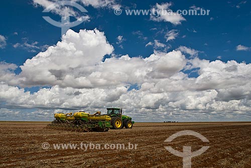  Subject: Planting of cotton / Place: Baus district - Costa Rica city - Mato Grosso do Sul state (MS) - Brazil / Date: 02/2010 