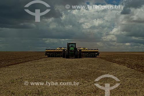  Subject: Planting of cotton / Place: Baus district - Costa Rica city - Mato Grosso do Sul state (MS) - Brazil / Date: 02/2010 