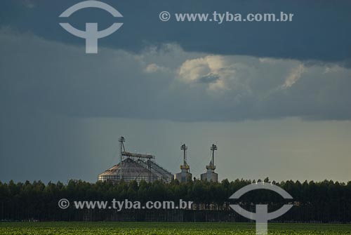  Subject: View of silos / Place: Baus district - Costa Rica city - Mato Grosso do Sul state (MS) - Brazil / Date: 02/2010 