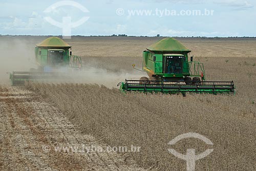  Subject:  Soybean harvest / Place: Baus district - Costa Rica city - Mato Grosso do Sul state (MS) - Brazil / Date: 02/2010 