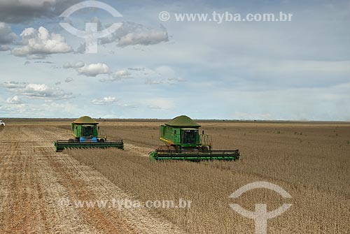  Subject:  Soybean harvest / Place: Baus district - Costa Rica city - Mato Grosso do Sul state (MS) - Brazil / Date: 02/2010 