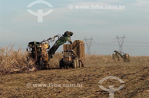  Subject: Mechanical harvesting of sugar cane / Place: Campos dos Goytacazez city - Rio de Janeiro state (RJ) - Brazil / Date: 07/2007 