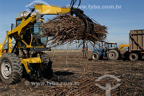  Subject: Mechanical harvesting of sugar cane / Place: Campos dos Goytacazez city - Rio de Janeiro state (RJ) - Brazil / Date: 07/2007 