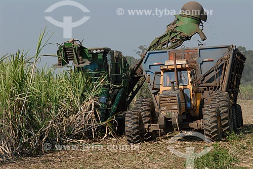  Subject: Mechanical harvesting of sugar cane / Place: Campos dos Goytacazez city - Rio de Janeiro state (RJ) - Brazil / Date: 07/2007 