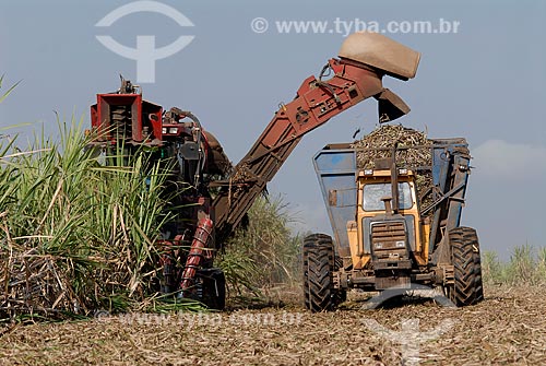  Subject: Mechanical harvesting of sugar cane / Place: Campos dos Goytacazez city - Rio de Janeiro state (RJ) - Brazil / Date: 07/2007 